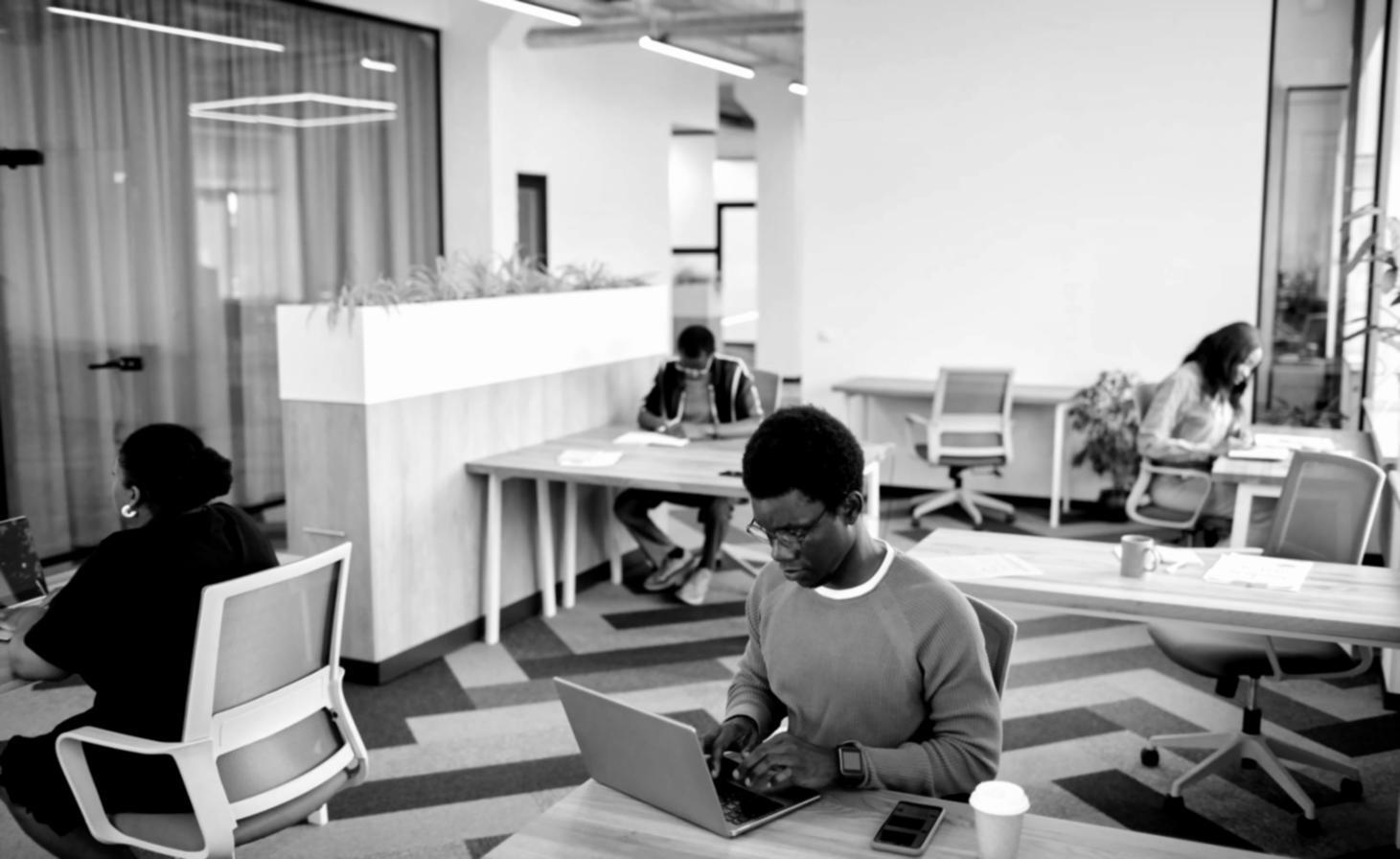 Рабочая обстановка в офисе Microekisify